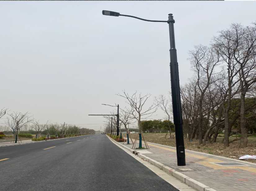 零陵区上海综合杆 太阳能路灯工程